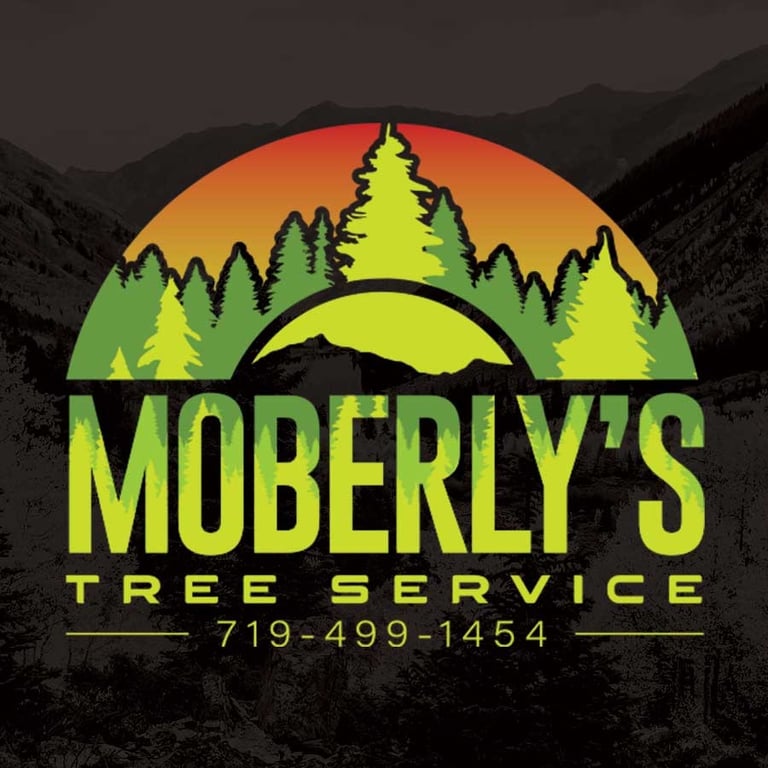 Moberly’s Tree Service logo with a green tree silhouette and sunset background, featuring bold text and the contact number