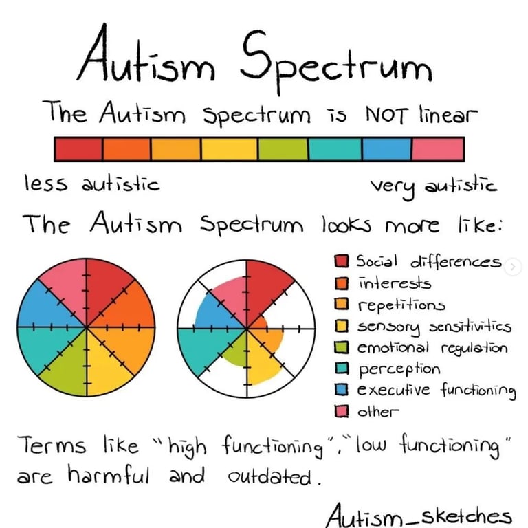 What Autism Spectrum really is
