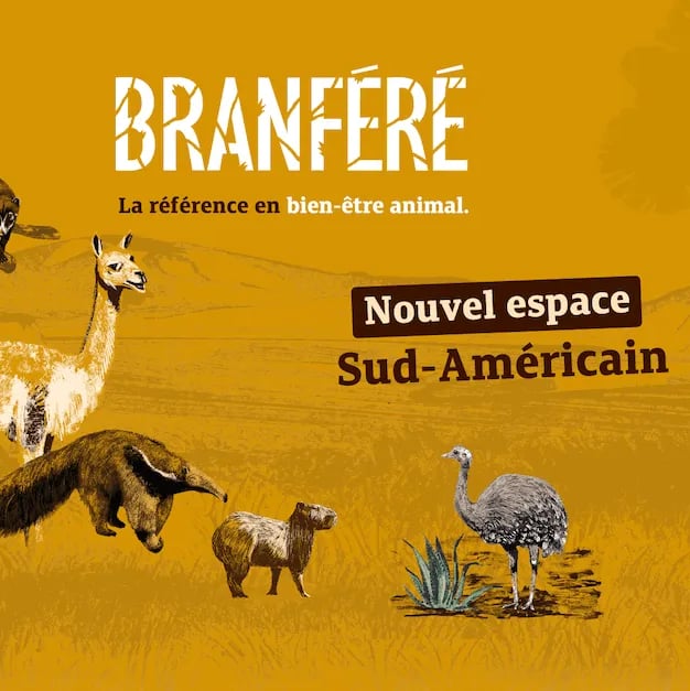 Ty Bayon - Activités pour vos P'tits Loups - Parc de Branféré