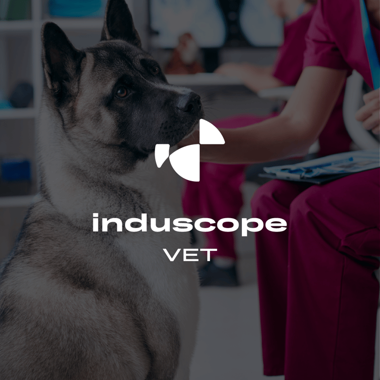 Identité visuelle pour Induscope VET, endoscopes vétérinaires