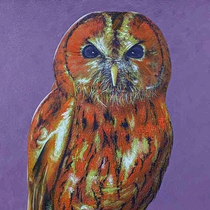 Bird painting of a Tawny Owl