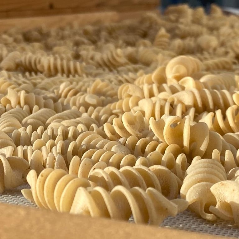 Fresh pasta from Puglia