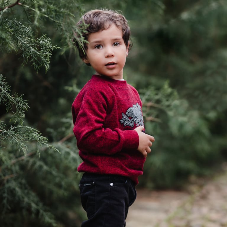 un niño pequeño en el bosque