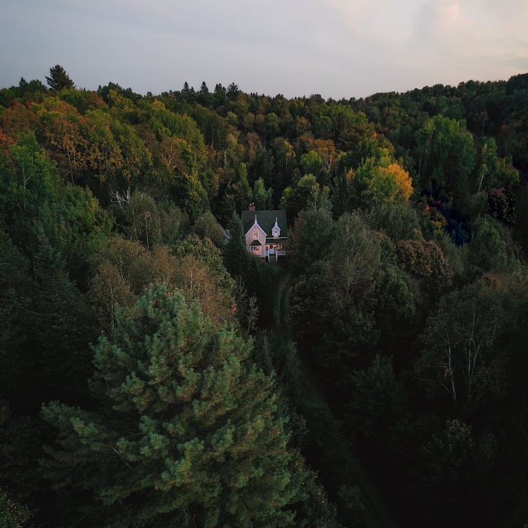 a house with a yellow house in the middle of a forest