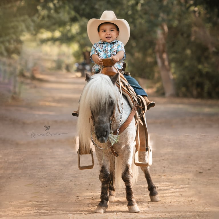 un niño pequeño con sombrero montando a caballo