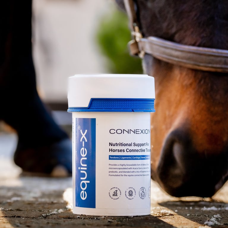 Equine tendon supplement for horses