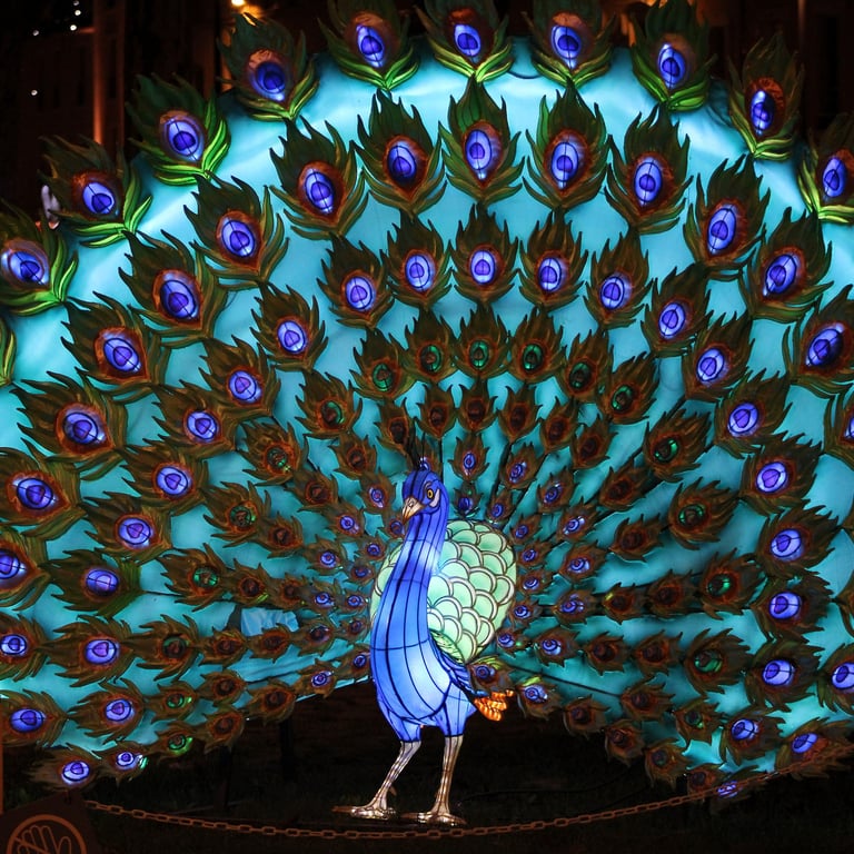 gillian-esnault, illumination Laval, Kiosque à Image