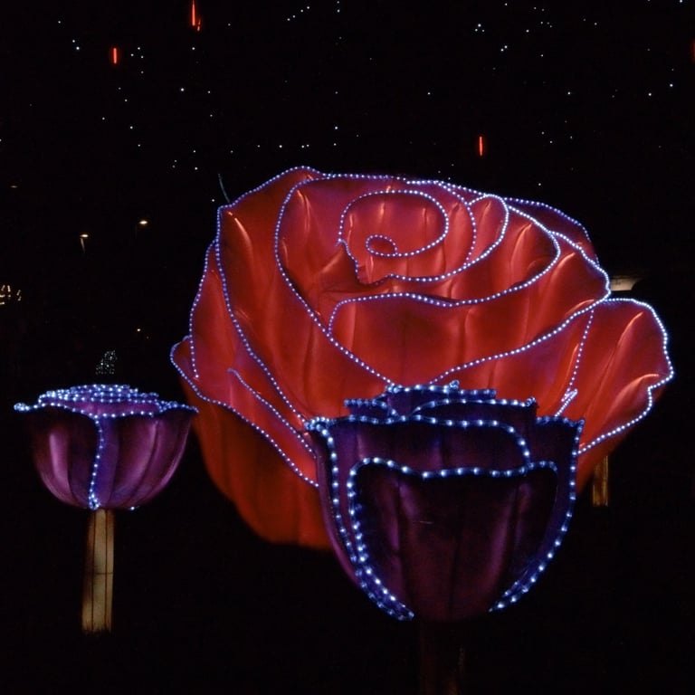 lumières-laval1.colette-fouassier, illumination Laval 2025, Kiosque à Image
