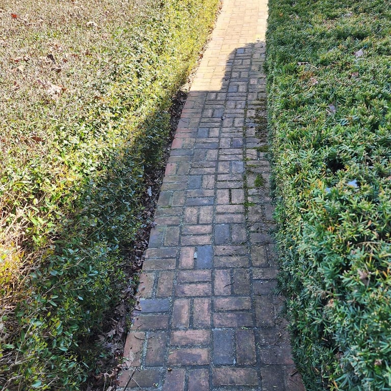Before brick walkway cleaning Cullman AL