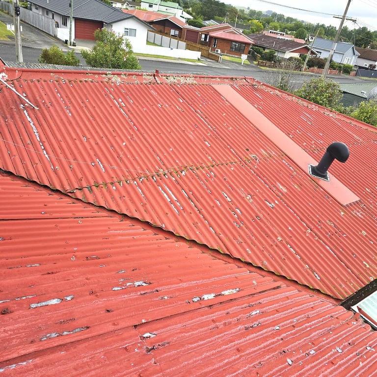 Weathered red corrugated roof with peeling paint & rust patches, in a Central Hawke’s Bay neighborhood.
