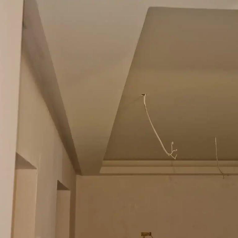 Spušteni plafon sa kosinom, Dedinje, Beograd