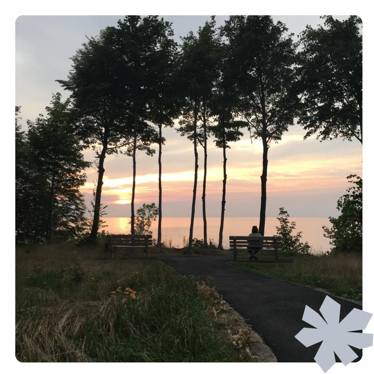 A woman sitting at a bench overlooking a lake at sunset with a woodcut of a flower overlaying it.