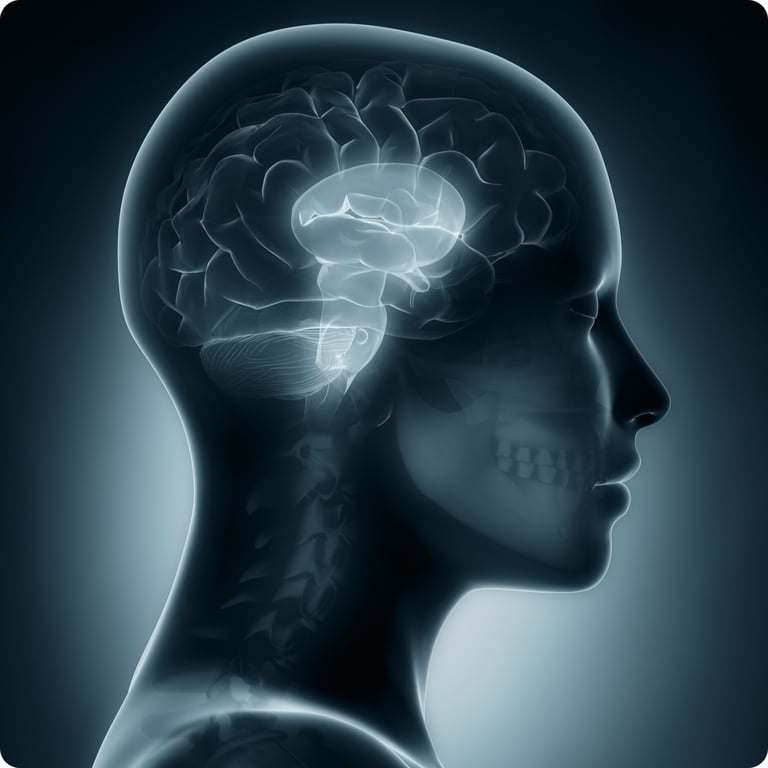 a human head and neck pain with a brain scang