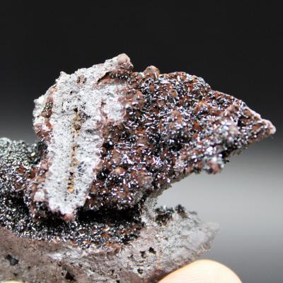 Blende