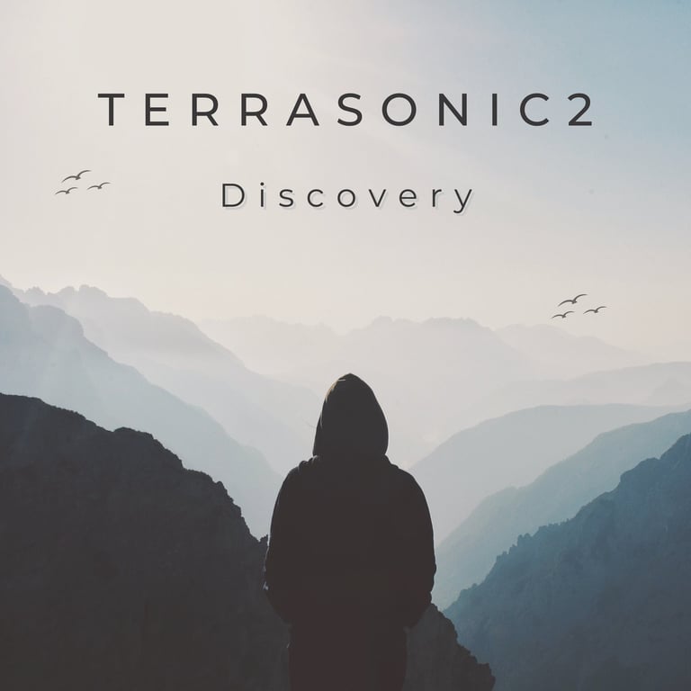 TerraSonic2 EP cover of 3-track EP 'Discovery'. Clocks, The Chain, Take On Me. Acoustic Rock Duo.