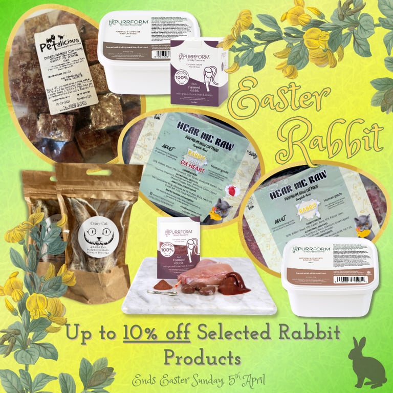 Easter Rabbit Special for Cats at Kitty's Rawr Store