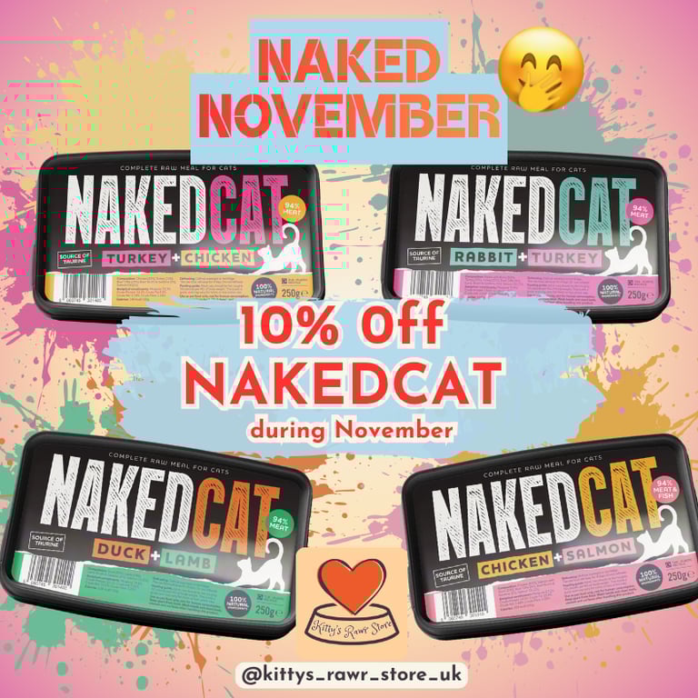 Naked November Offer at Kitty's Rawr Store - NAKEDCAT 10% Off