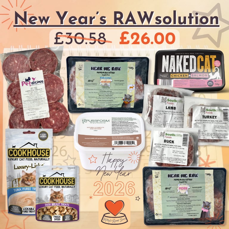 Kitty's Rawr Store New Year's RAWsolution offer