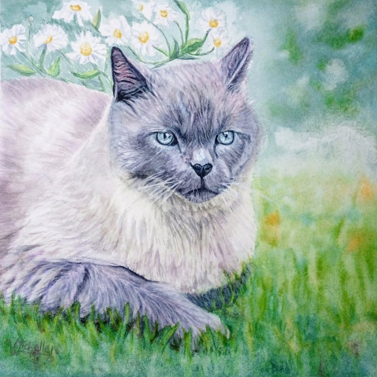 Pet Portrait of Toby the Cat