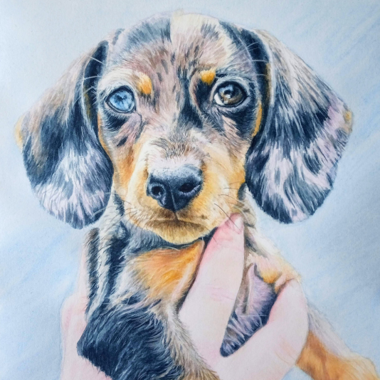 photo of a pet portrait painting