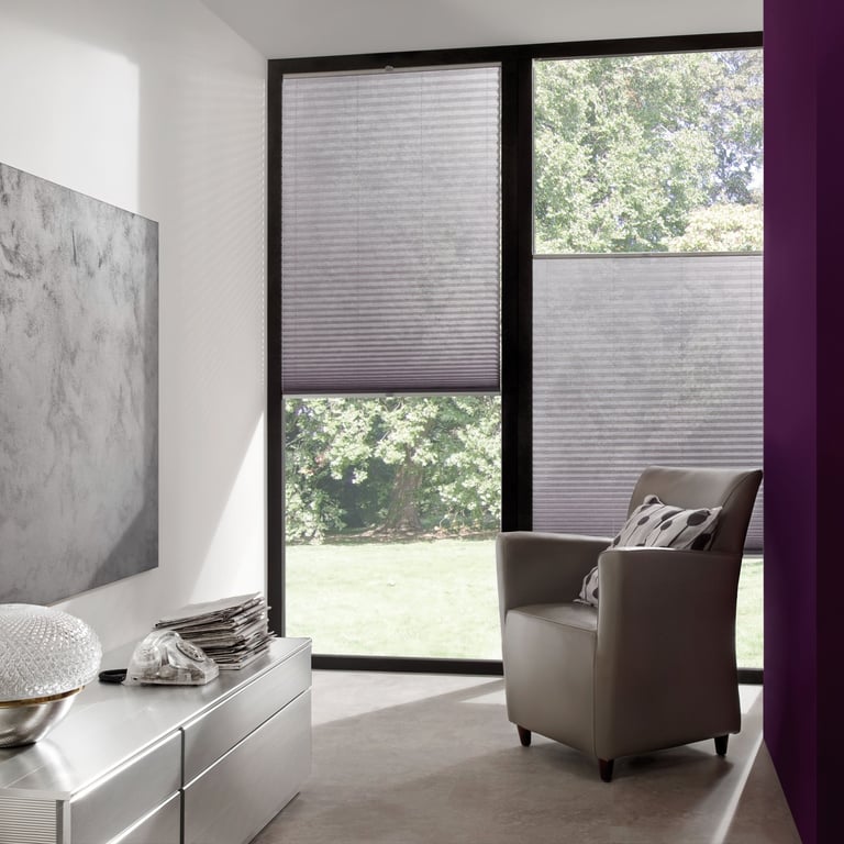 Sitting Room Pleated and Honeycomb Blinds