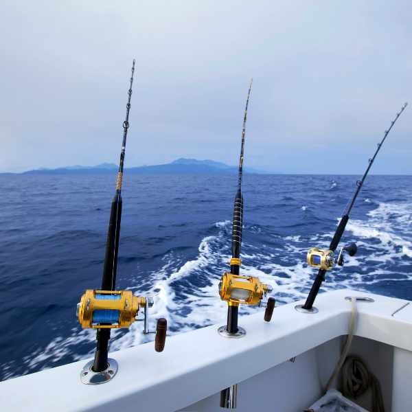 a group of fishing rods on a boat