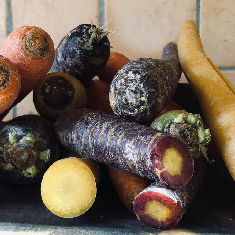 TCM Ernährung für Hunde und Pferde