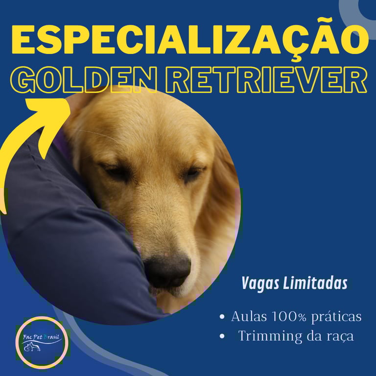 Especialização em Golden Retriever
