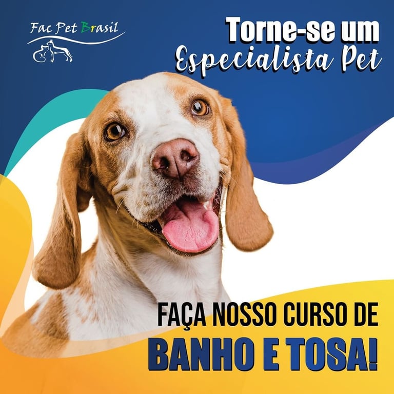 Especialização Tosa Tesoura Carinha Tosa Bebê