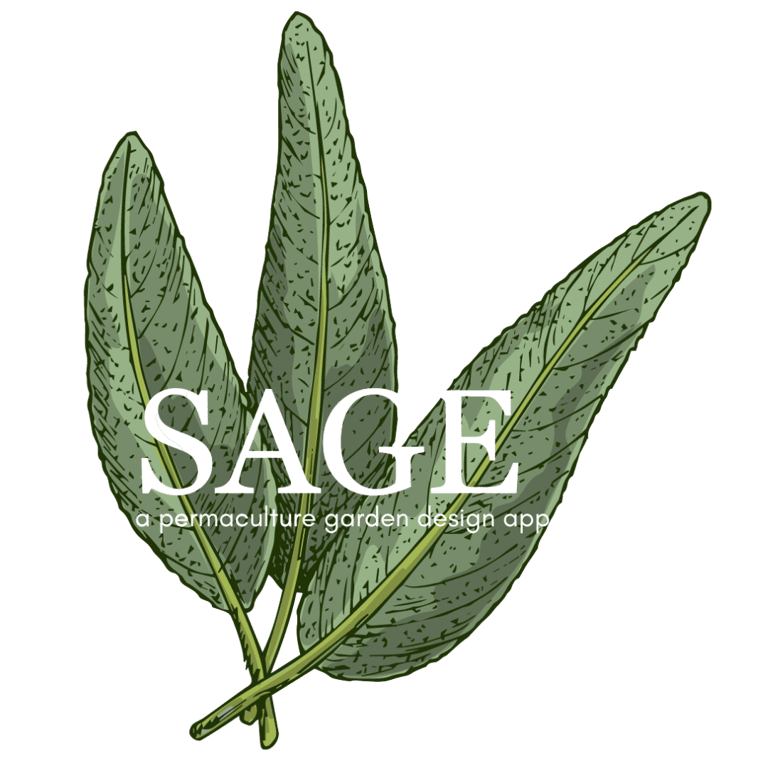 A logo for our garden planning app, Sage; hand drawn sage. 