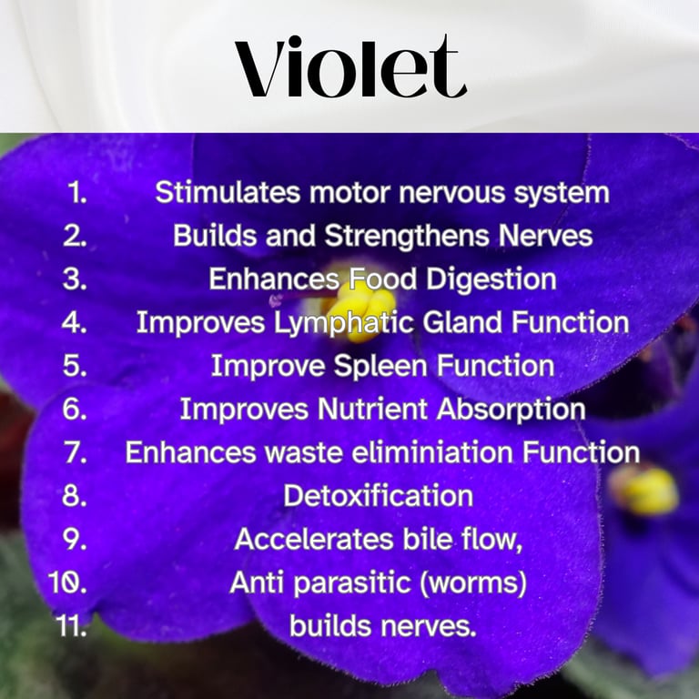 Colour Healing, Healing Light, Chromotherapy, Spechtochrome Violet