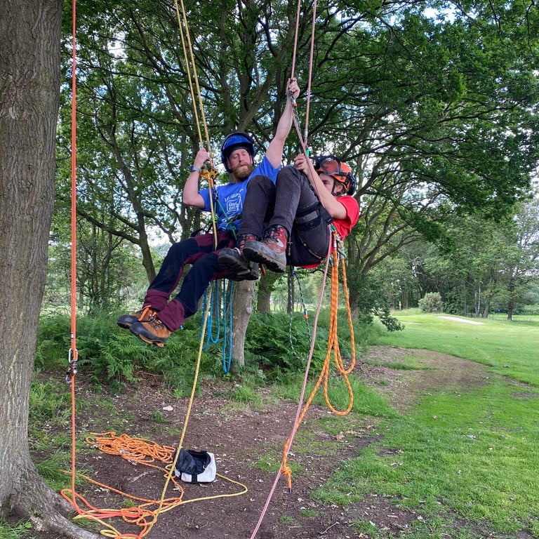 Tree canopy aerial rescue