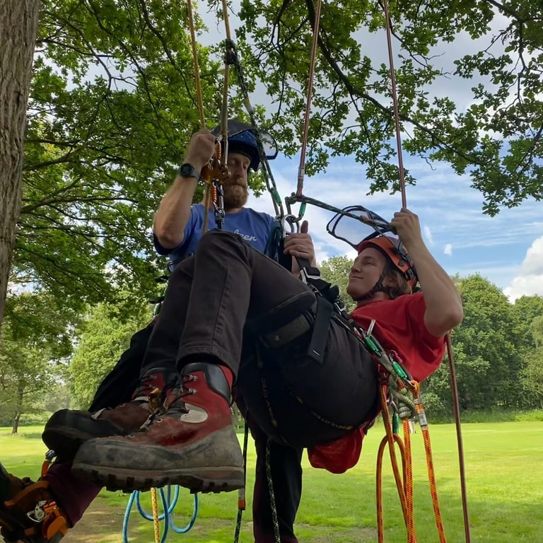 Tree climbing aerial rescue