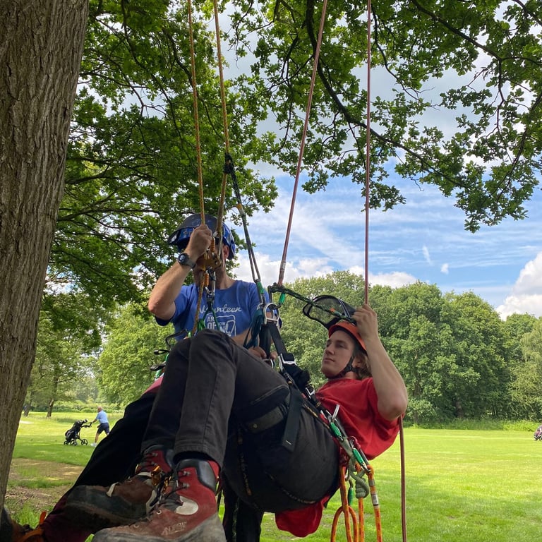 Tree climbing aerial rescue