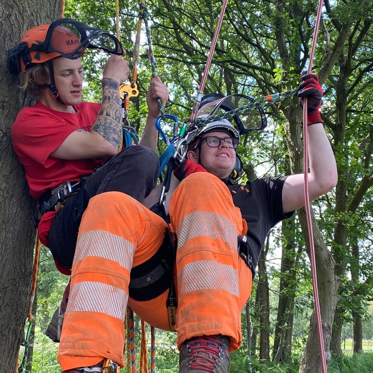 Tree Aerial rescue