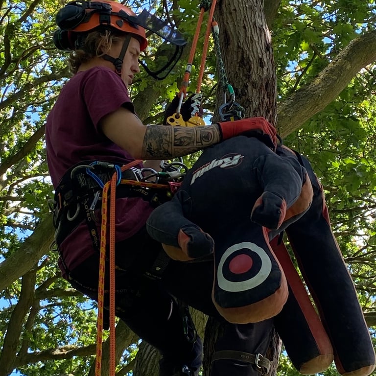 Tree Pole rescue