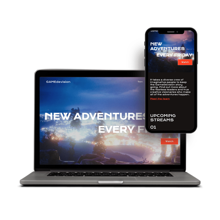 Client project case study Custom web development project Business website project