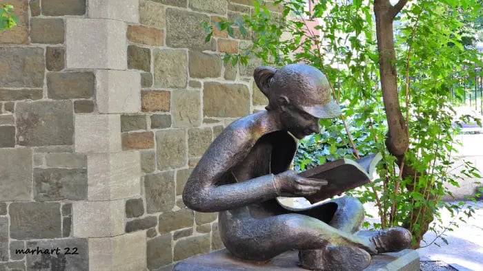 La liseuse, bibliothèque, St-Jean Baptiste Québec.