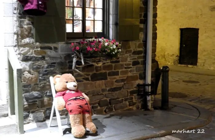 Ourson assis dans la rue.