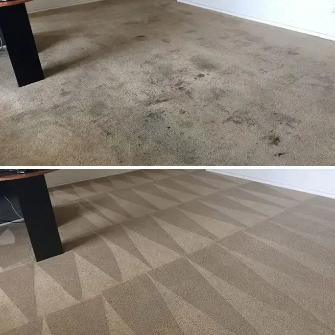 a photo showing the before and after results of carpet cleaning