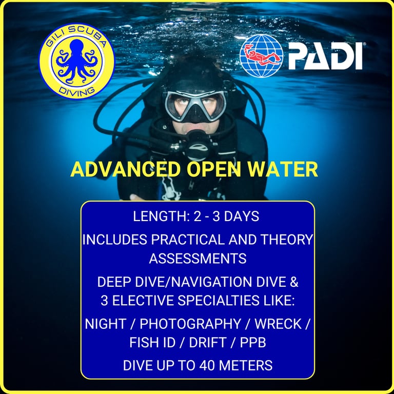 PADI Advanced Open Water certification in Gili Trawangan: choose from Deep, Navigation, Night, Photography, Wreck, Fish ID.