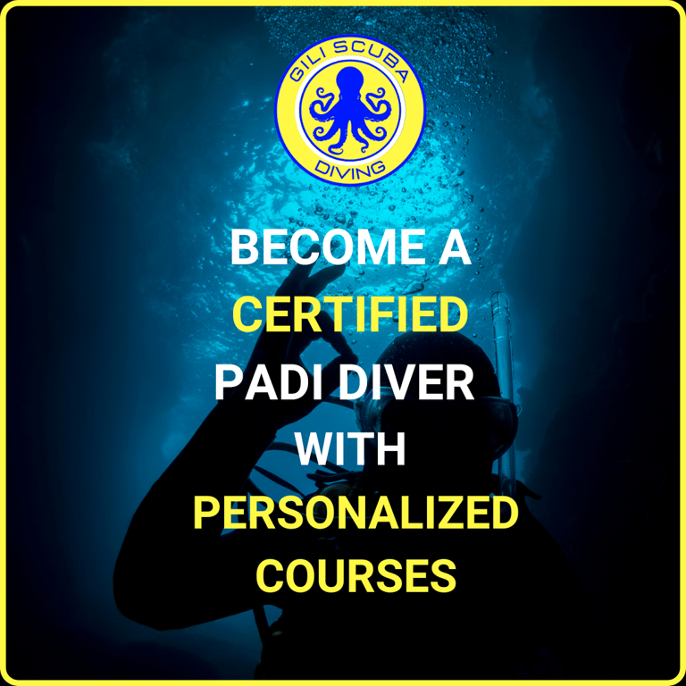 Become a certified PADI diver with personalized courses at Gili Scuba Diving, offering tailored training in Gili Trawangan.