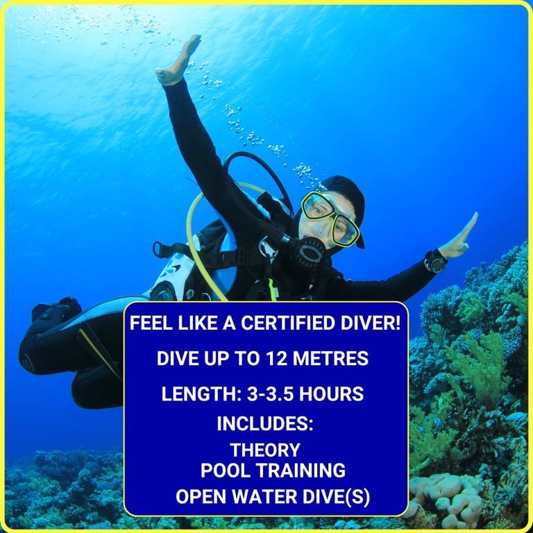 Gili Scuba Diving offers a dive experience to feel like a certified diver: includes 3-5 hours theory, pool training, and an o