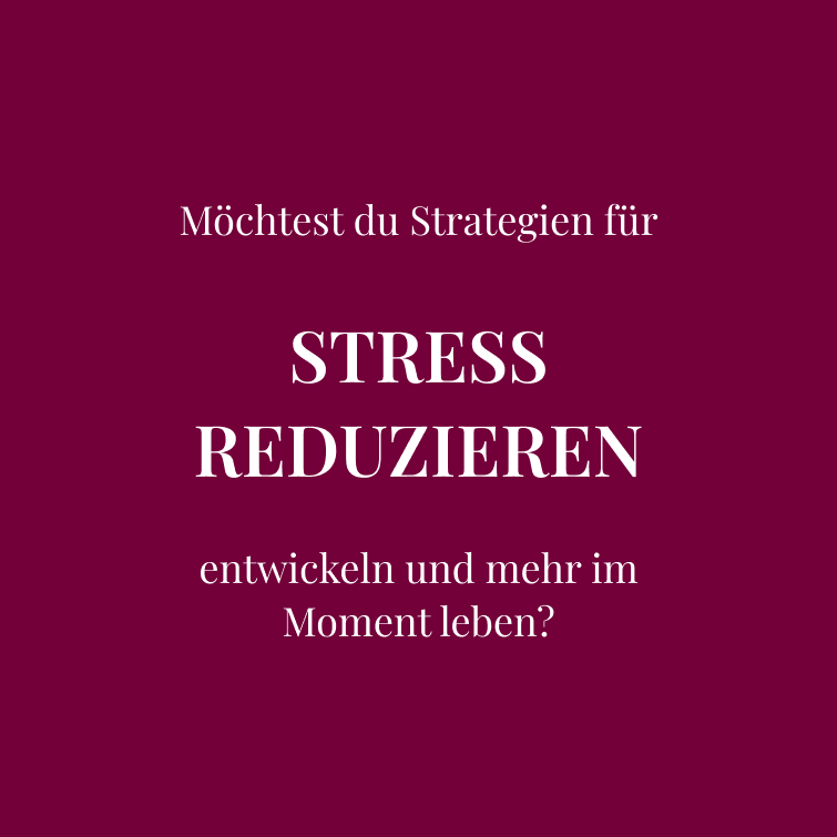 Möchtest du Strategien für  STRESS REDUZIEREN  entwickeln und mehr im Moment leben?