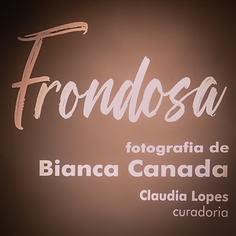 Link para exposição Frondosa