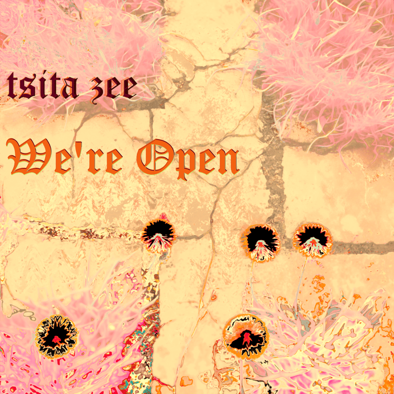 Album cover for "We're Open" with antique letters above sunset stone path, grass, digital flowers.
