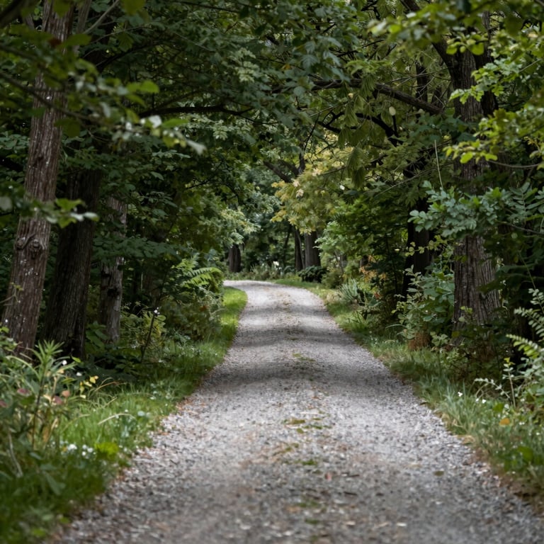 A serene gravel pathway winding through mature trees at Narrows Farm, featuring deep forest greens (#3C4B40).