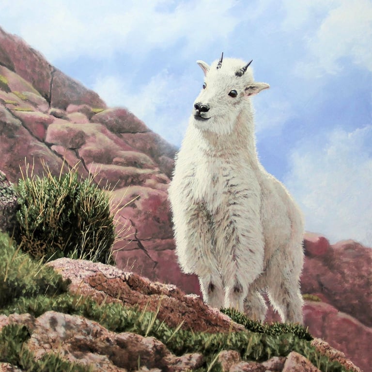 Ed Hansen Multimedia Artist  ehans47@comcast.net Main Street Gallery