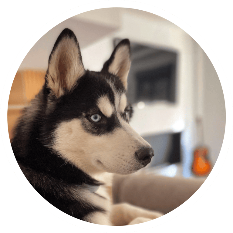 BLUE EMBAJADOR DE SONRISAS