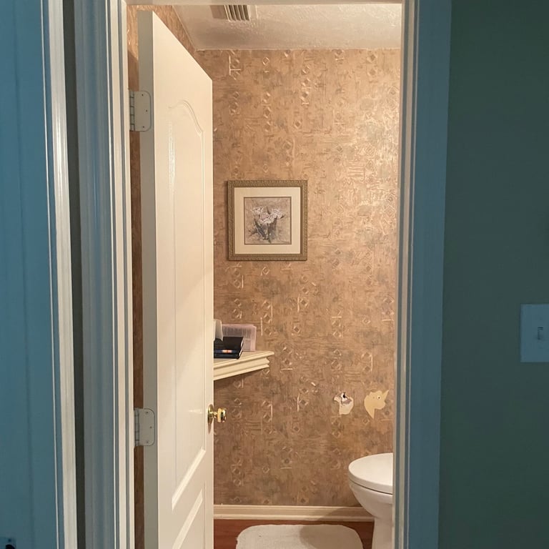 Powder Room Before Shower Addition
